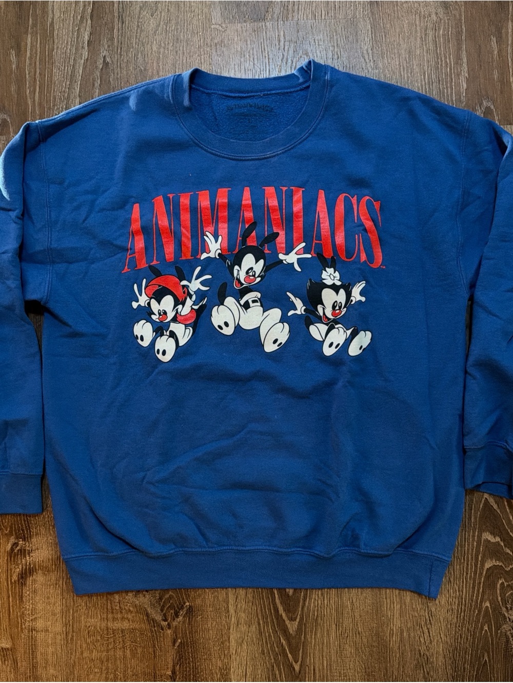 Vintage Blue Crewneck Sweatshirt with Red Animaniacs Graphic